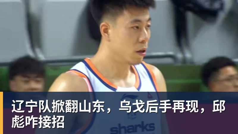 篮球下注辽宁队掀翻山东，乌戈后手再现，邱彪咋接招
